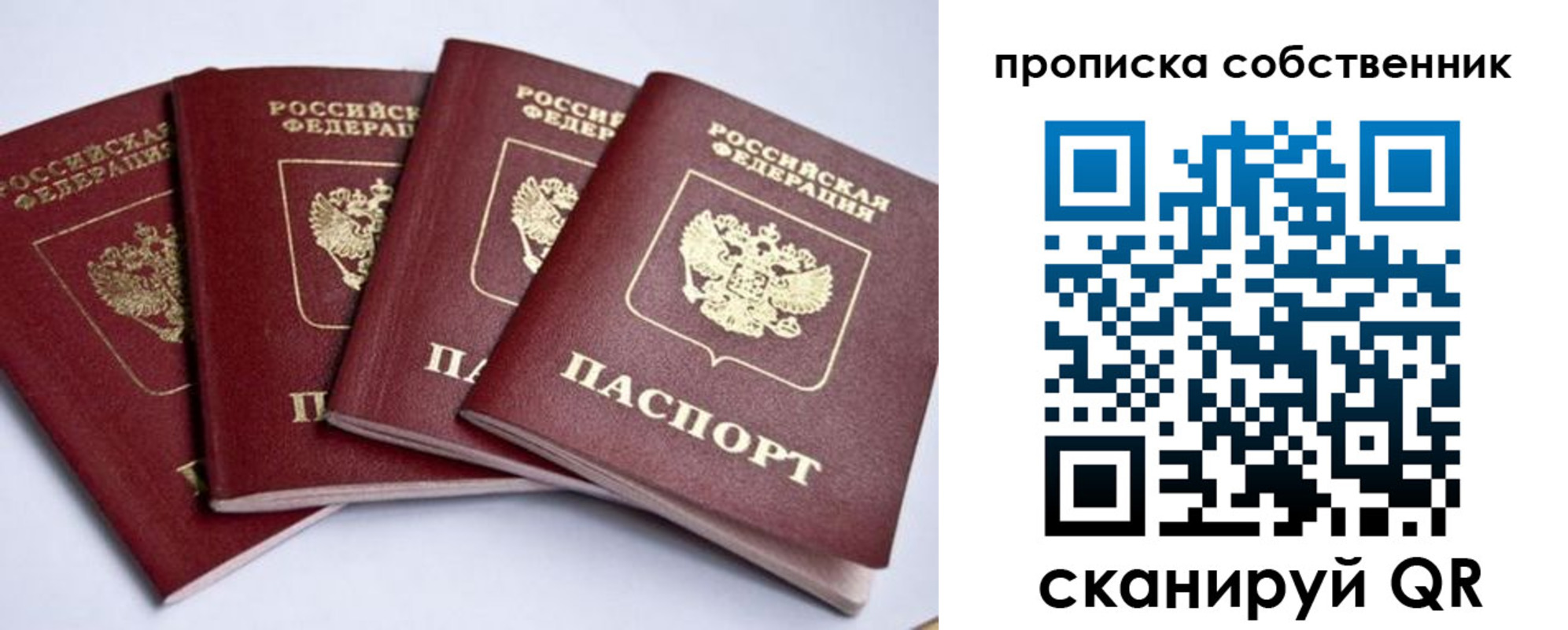 прописка для школы в Смоленской области