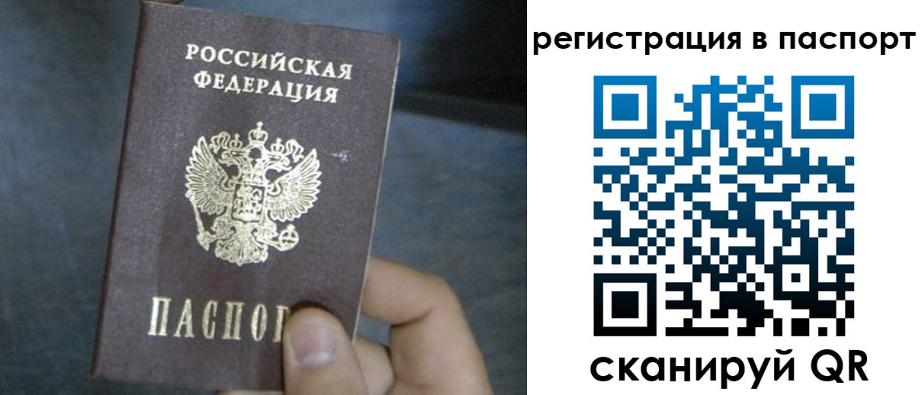 прописка 2025 в Смоленской области